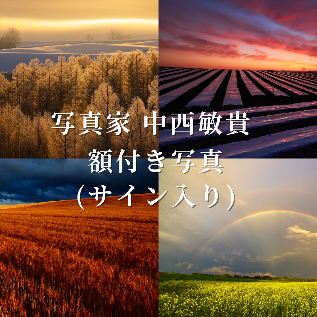 写真家　中西敏貴　額付き写真（サイン入り）[250-04]