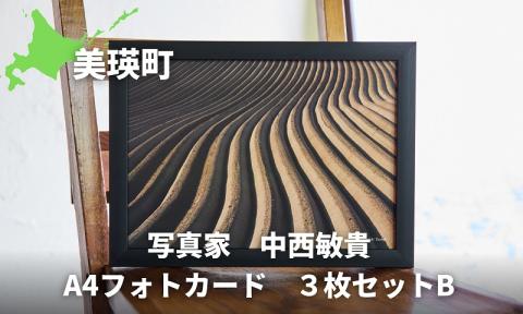 写真家　中西敏貴　A４フォトカード　３枚セットB　[010-205]