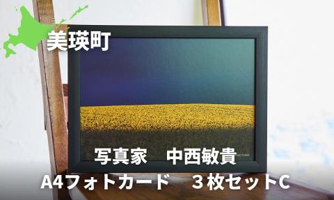 写真家　中西敏貴　A４フォトカード　３枚セットC　[010-206]