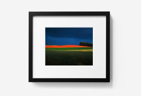 前田真三 額付き写真（黒額） キャビネサイズ[040-19]