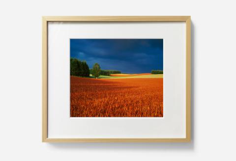 前田真三 額付き写真（白木額） 六切サイズ[084-06]