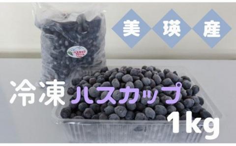 びえいハスカップファーム　美瑛産冷凍ハスカップ１ｋｇ[019-63]