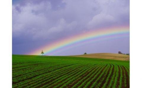 写真家　阿部俊一　撮影ツアー券[120-07]