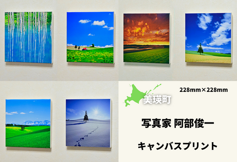 写真家　阿部俊一　キャンバスプリント(２２８mｍ × ２２８ｍｍ)[022-33]