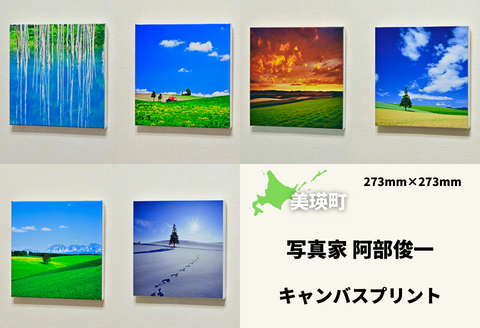 写真家　阿部俊一　キャンバスプリント（２７３ｍｍ × ２７３ｍｍ）[036-28]