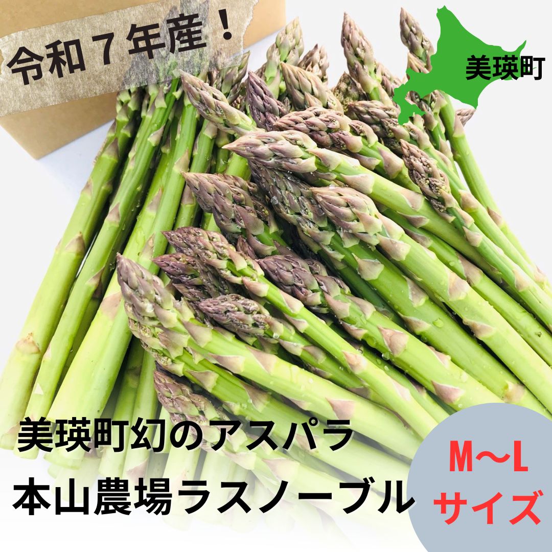 ふるさと納税 美景農園 令和５年産 野菜の定期便（４回）[040-09] 北海道美瑛町 - 野菜