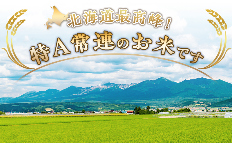 【令和8年産】2026年11月から順次出荷 ≪6ヶ月定期便≫北海道上富良野町産 【ゆめぴりか】5kg お米 白米 精米 ライス ご飯 ブランド米 銘柄米 お弁当 おにぎり 北海道産  食卓 産 地直送 複数回 お届け