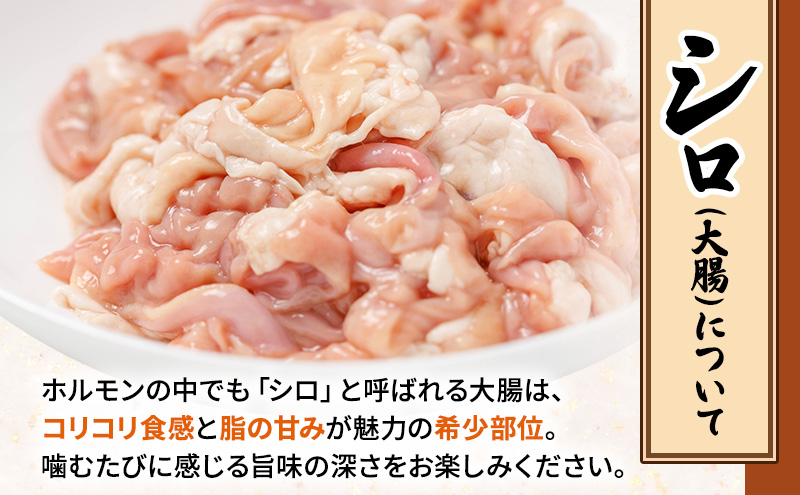 【2026年1月下旬から出荷】コリコリ食感がたまらない！北海道ブランド豚「かみふらのポーク」シロホルモン （塩味）4個セット 小分け・個包装 ( ホルモン 焼肉 塩 豚 豚肉 大腸 シロ ブランド豚 )