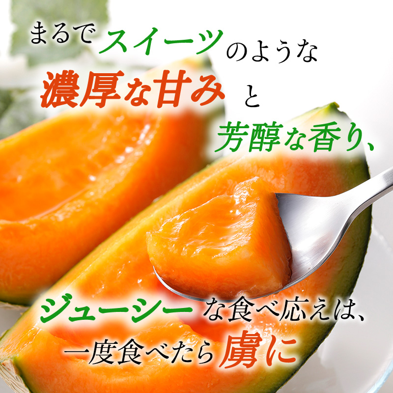 【2026年発送】 赤肉メロン JAふらの厳選！ 約1.6kg 2玉 メロン めろん 富良野メロン 果物 くだもの フルーツ 富良野 デザート 北海道 北海道上富良野町