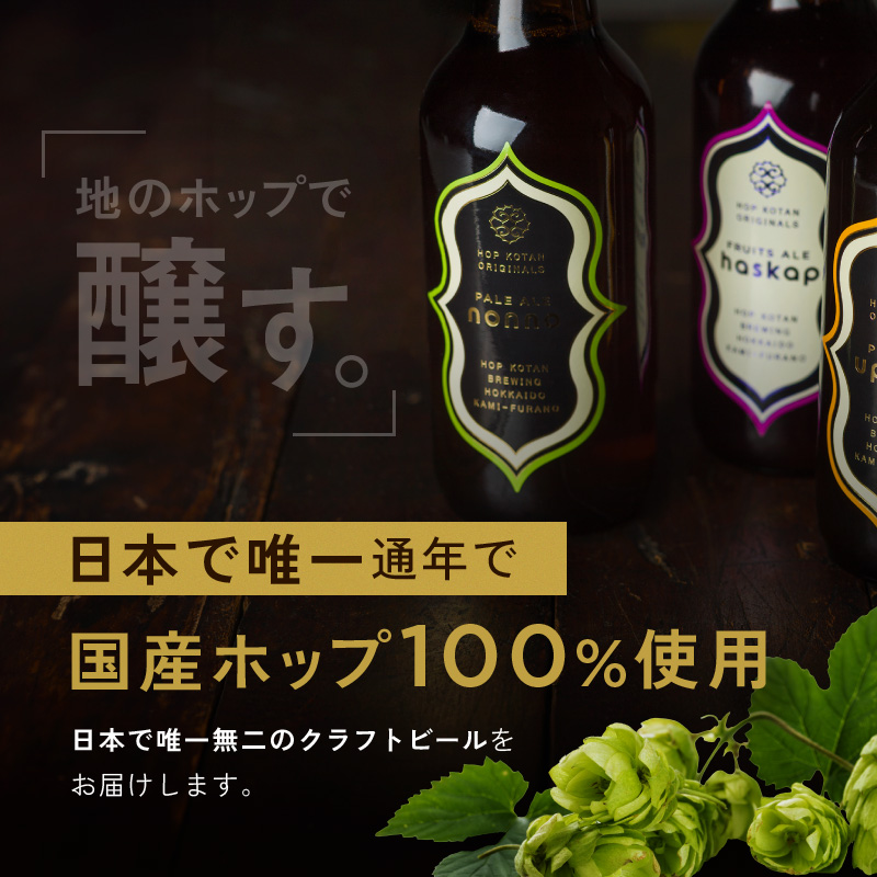 HOP KOTAN 定番ビール3本セット（3種各1本）ビール 発泡酒 地ビール お酒 酒 アルコール ギフト 贈り物 プレゼント 北海道 上富良野町