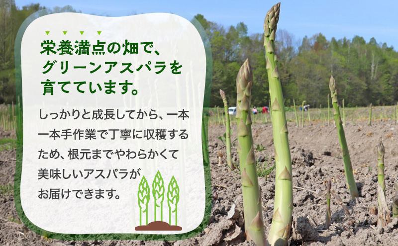 【2026年分先行予約】 アスパラ 専門農家 の 特選 グリーン アスパラ 2kg M アスパラガス 原農園 あすぱら 野菜 北海道 上富良野町 グリーンアスパラ