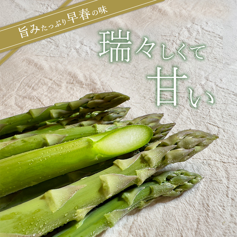 【令和7年産】 先行予約 北海道 上富良野産 アスパラガス Lサイズ 900g アスパラ 上富良野町 令和7年発送 先行受付 野菜 やさい