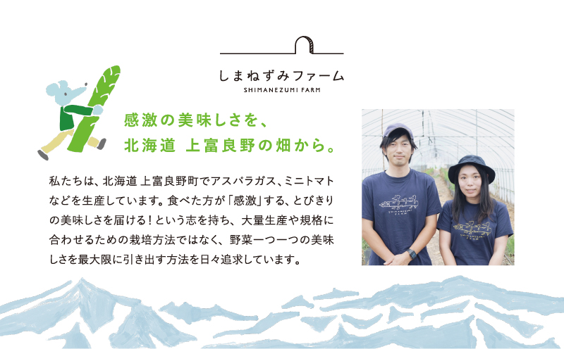 【 2026年 発送 】 先行予約 北海道 上富良野産 アスパラガス 3L サイズ 800g アスパラ 上富良野町 令和7年発送 先行予約