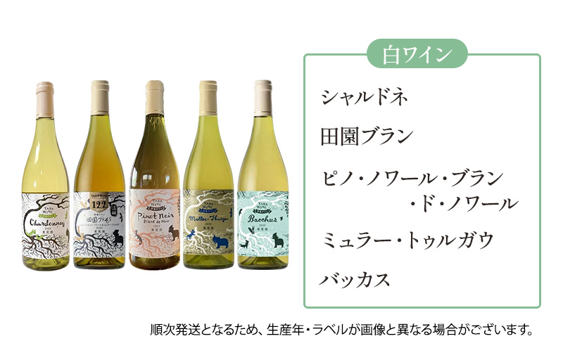 6ヵ月定期便◆野生酵母ワイン 毎月3本お届け(6ヵ月間) 多田ワイナリー 北海道 上富良野町 ワイン 赤ワイン 白ワイン 微発泡ワイン オレンジワイン