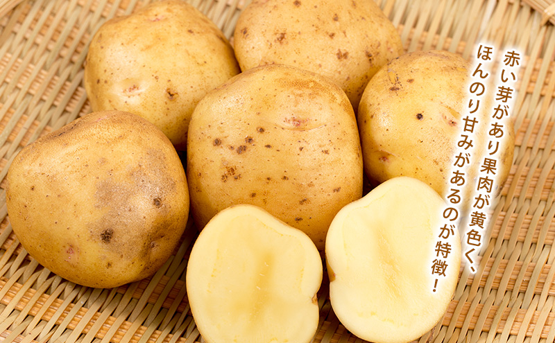 かみふらのじゃがいも「男爵5kg & キタアカリ5kg」