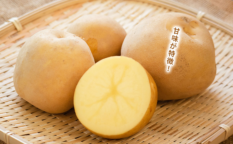 かみふらのじゃがいも「とうや5kg & 男爵5kg」