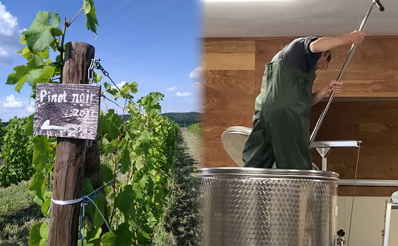 【野生酵母】辛口白ワイン4本 多田ワイナリー 北海道 上富良野町 ワイン セット お酒 アルコール