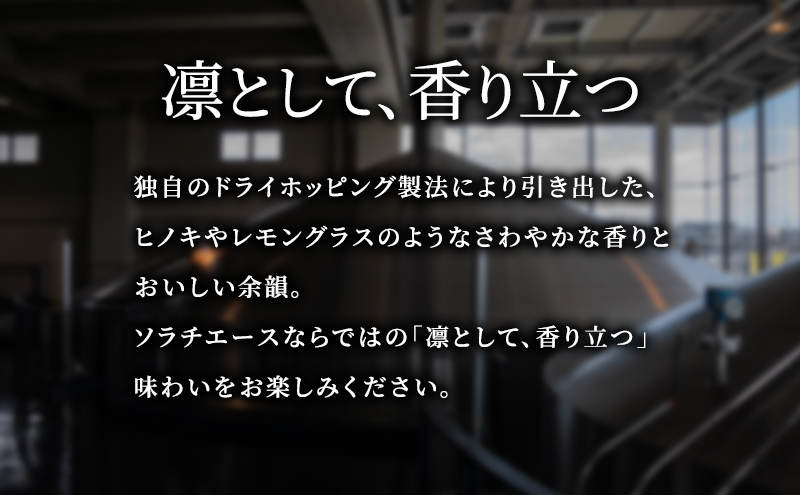 【4ヵ月連続定期便】北海道 上富良野町発祥 伝説のホップ SORACHI 1984 350ml×24缶 ソラチエース使用 サッポロ ビール クラフトビール 酒 アルコール 日用品 お酒