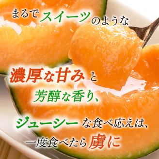 【令和8年産】 メロン ふらの 赤肉メロン LLサイズ 約2kg 2玉 糖度限界突破 セット めろん 果物 フルーツ デザート くだもの 旬の果物 旬のフルーツ 2025年発送 北海道 富良野 上富良野町