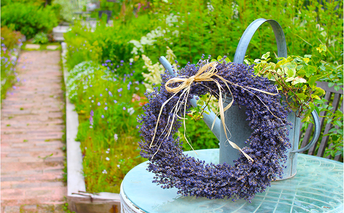 【2025年9月上旬から順次お届け】 富良野 花七曜 上富良野ラベンダーリース【プロヴァンス】ドライフラワー リース