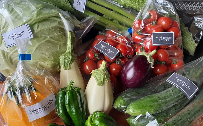 【2025年9月中旬頃から発送】農家直送！ミニトマト500g入り！かみふらの秋の味覚ボックスL（7～9品入り）