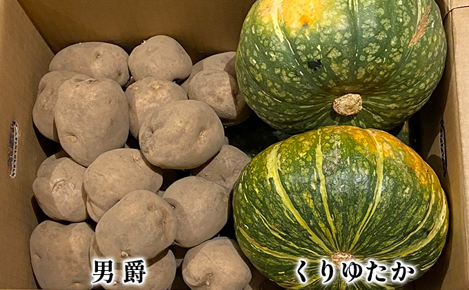 北海道上富良野産 栽培期間中“農薬・化学肥料不使用”「じゃがいも＆かぼちゃ」セット