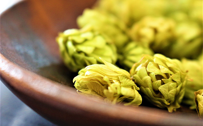 ◆12ヵ月連続お届け定期便◆7年ぶりにリニューアル！！サッポロクラシック 500ml×24本