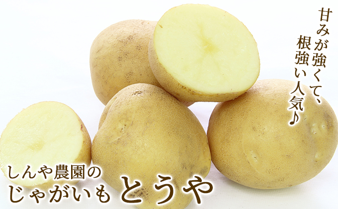 【北海道上富良野町産】しんや農園のじゃがいも「とうや5kg & 男爵5kg」 計10kg