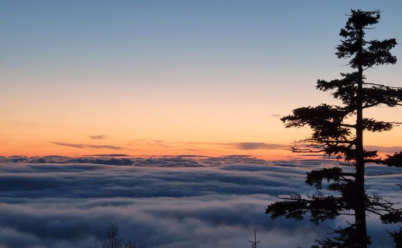 湯元凌雲閣 【 1泊朝食付 】 ペア 宿泊券 ホテル 旅館 旅行券 北海道 上富良野町 十勝岳