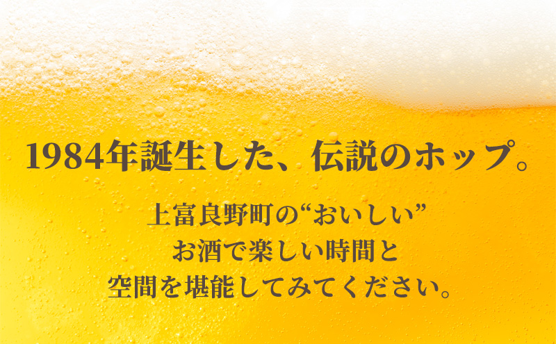 上富良野町発祥！伝説のホップ「ソラチエース」使用【SORACHI 1984】350ml×24缶 (有)リカーショップかまだ 北海道 上富良野町 ソラチ1984 お酒 酒 飲み物 ビール 地ビール サッポロビール サッポロ ギフト