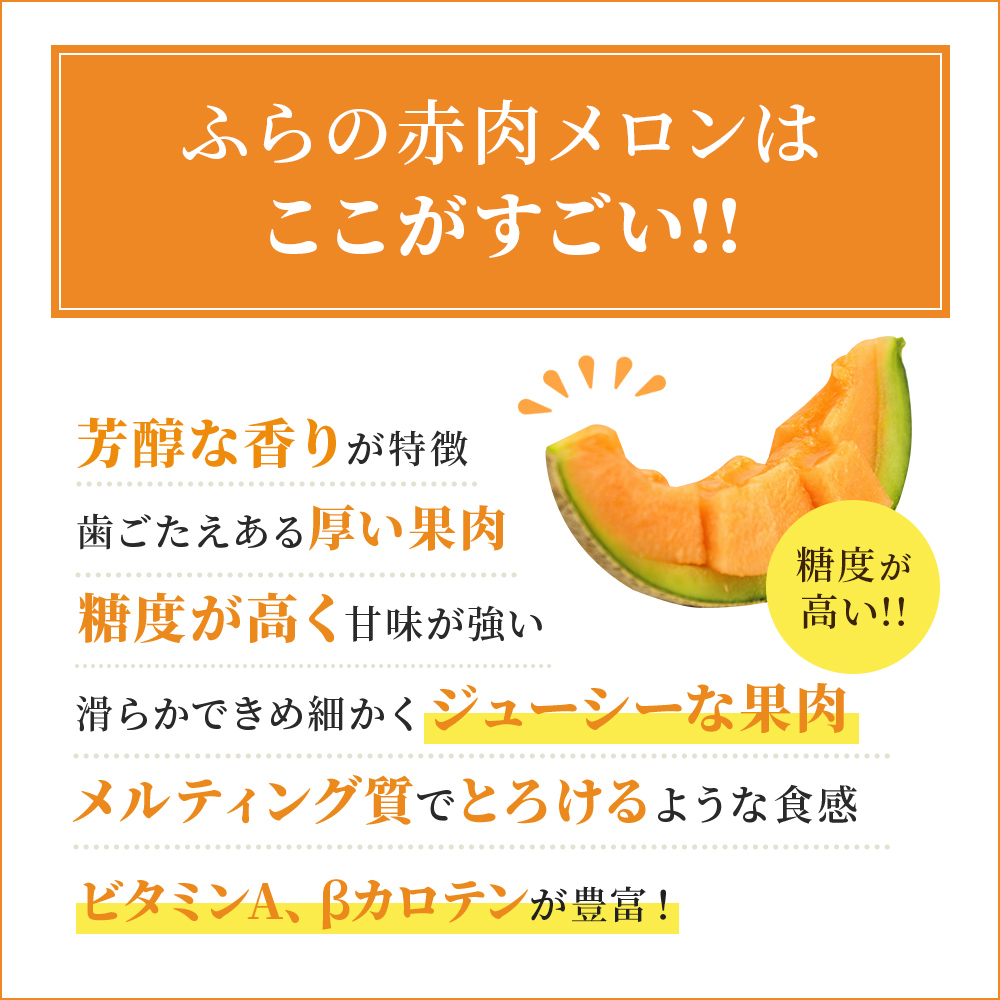 【令和8年産】ふらの 赤肉メロン 厳選 甘味 Lサイズ 1.6kg～1.9kg 5玉 セット ファーム富良野 メロン めろん 富良野メロン 果物 くだもの フルーツ 富良野 デザート 北海道 北海道上富良野町