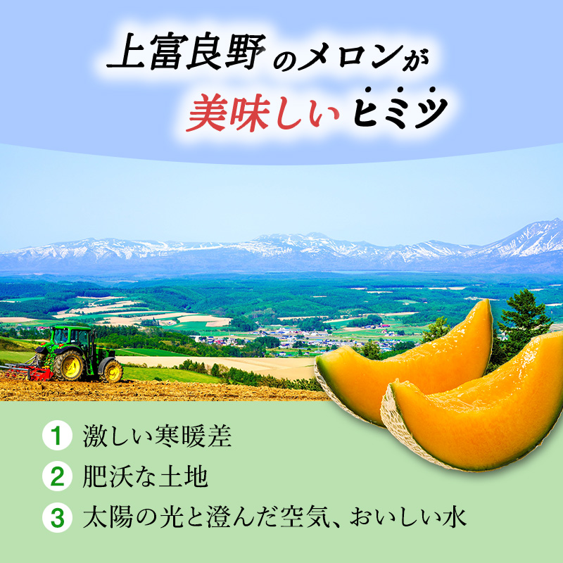 北海道 上富良野 町産 「 ふらの メロン 」 大玉 秀品  2玉 約 2kg 以上 赤肉 メロン 産地直送 富良野 フルーツ							  果物類 フルーツ メロン赤肉