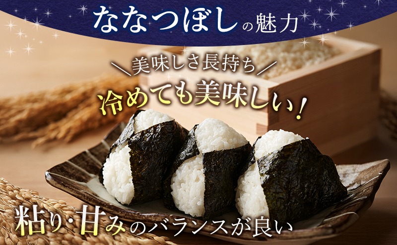 【令和8年産】2026年11月から順次出荷 ≪6ヶ月定期便≫北海道上富良野町産【ななつぼし】10kg お米 白米 精米 ライス ご飯 ブランド米 銘柄米 お弁当 おにぎり 北海道産 食卓 産地直送 複数回 お届け