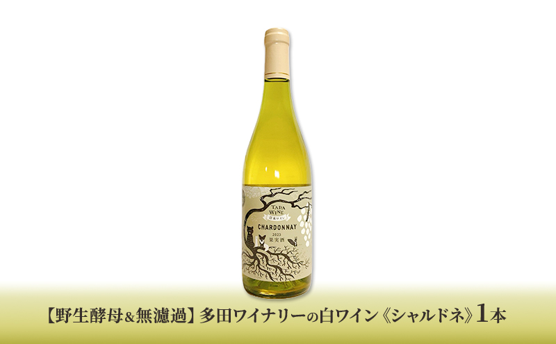 北海道 上富良野 コラボ 返礼品 上富良野町発祥！伝説のホップ「ソラチエース」使用【SORACHI 1984】350ml×12缶×【野生酵母＆無濾過】多田ワイナリーの白ワイン 《シャルドネ》1本