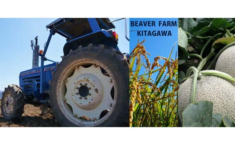 【R6年産米】7日以内配送 ゆめぴりか 米 10kg すぐお届け 精米 北海道産 お米 こめ 白米 ご飯 ごはん 食品 人気 上富良野 かみふらの 国産 北海道 上富良野町