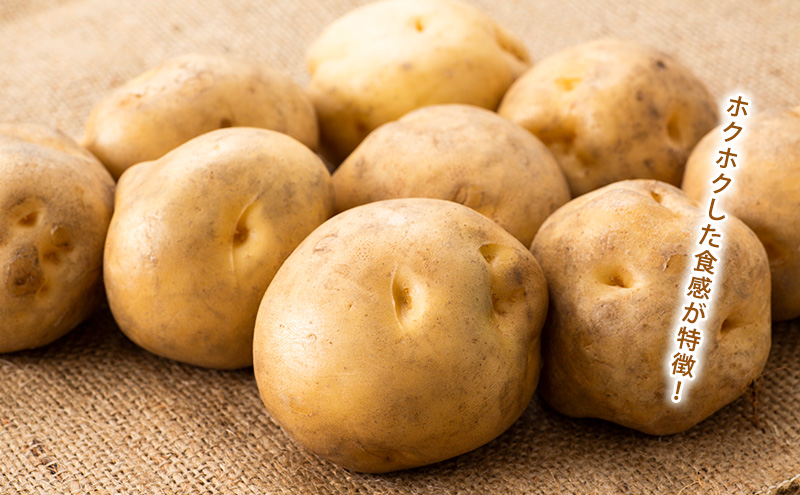 かみふらのじゃがいも「とうや5kg & 男爵5kg」