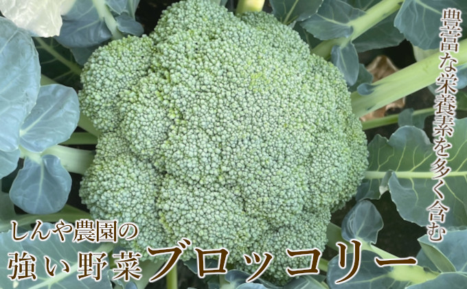 【令和7年産】しんや農園の 野菜「ブロッコリー6個 & カリフラワー4個」 旬の野菜 北海道産 北海道野菜 国産 国産野菜 グルメ 食材 新鮮 新鮮野菜