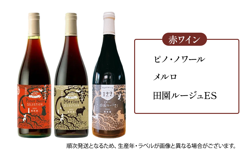 ワイン12ヵ月定期便◎月1本×12回◎多田ワイナリー◎野生酵母ワイン 北海道 上富良野町 ワイン 赤ワイン 白ワイン 微発泡ワイン オレンジワイン