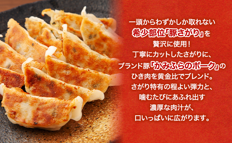 上富良野高校 コラボ開発「豚さがり餃子」 12個入り×3パック ( ご当地グルメ 餃子 中華 冷凍 食品 簡単 おかず 手作り 道産 上富良野町 北海道 )