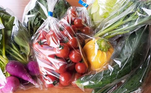 【2025年8月上旬頃から発送】農家直送！ミニトマト500g入り！朝採れ新鮮夏野菜ボックスL（7～9品入り）