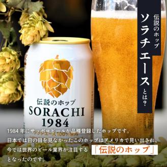 ◆6ヵ月連続お届け定期便◆SORACHI 1984 2箱（350ml×24缶） 株式会社 ヤマイチ 北海道 上富良野町 ソラチ1984 お酒 酒 飲み物 ビール 地ビール サッポロビール サッポロ ギフト