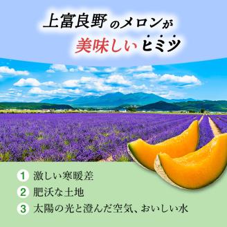 【 2025年 発送 】 先行予約 メロン かみふらの 赤肉 メロン 約 1.6kg 2玉 セット めろん 果物 フルーツ デザート くだもの 旬の果物 旬のフルーツ 北海道 上富良野 産地直送