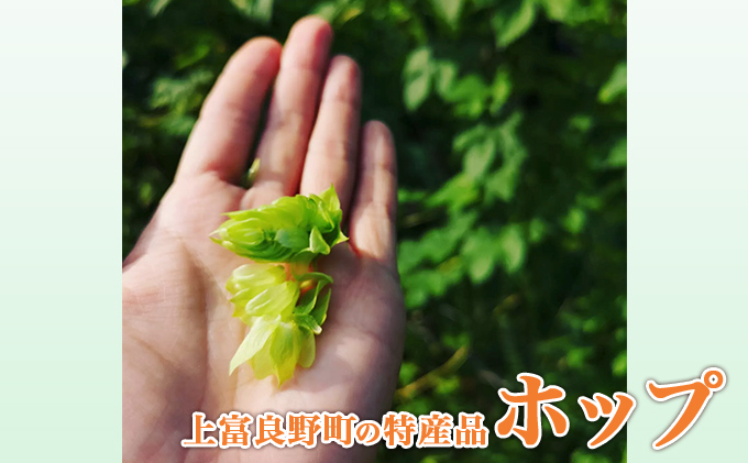 2025年産　秋のオーガニックお野菜セット1～2人用