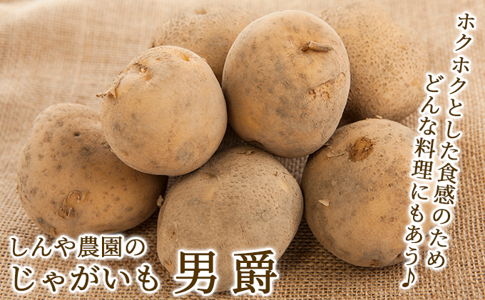 【北海道上富良野町産】しんや農園のじゃがいも「とうや5kg & 男爵5kg」 計10kg