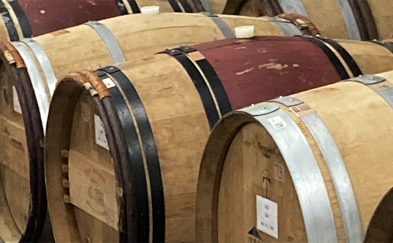 【 野生酵母 ＆ 無濾過 】 北海道 上富良野町 多田ワイナリーの 白ワイン 5本 セット ワイン