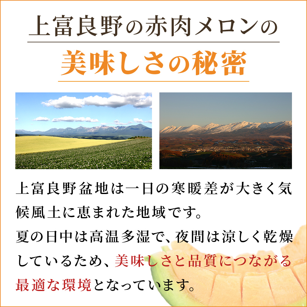 【令和8年産】ふらの 赤肉メロン 厳選 甘味 特4サイズ 2kg～2.6kg 4玉 セット ファーム富良野 メロン めろん 富良野メロン 果物 くだもの フルーツ 富良野 デザート 北海道 先行受付 北海道上富良野町