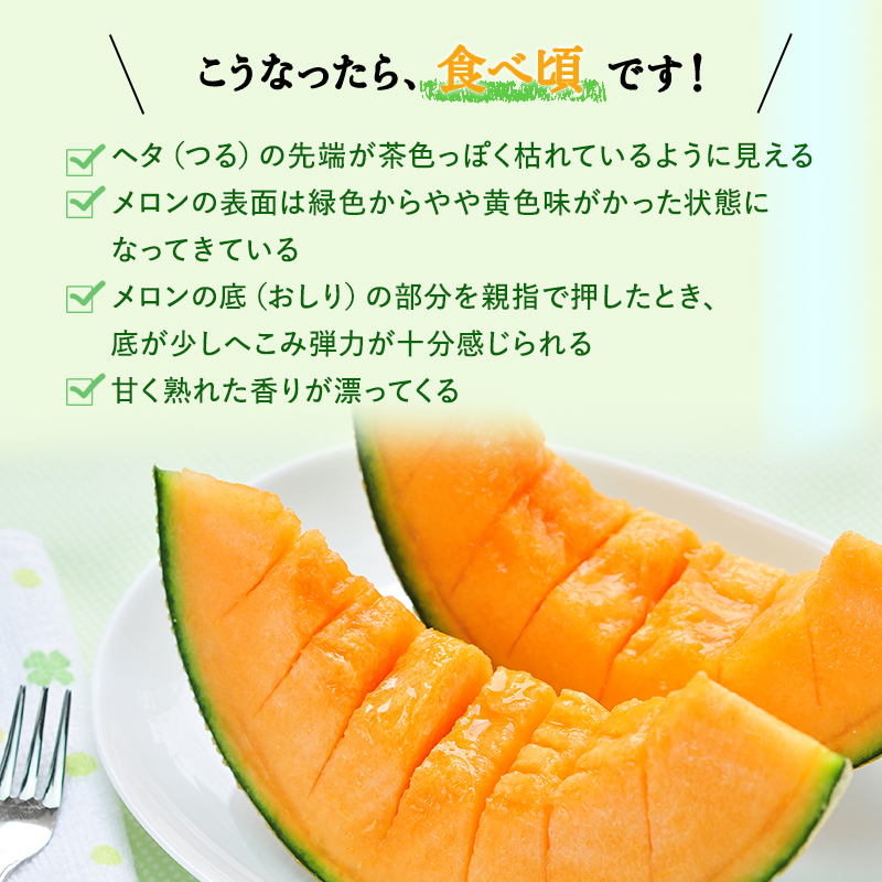 北海道 上富良野 町産 「 ふらの メロン 」 大玉 秀品 1玉 約 2kg 以上 赤肉 メロン 産地直送 富良野 フルーツ 果物類 フルーツ メロン赤肉