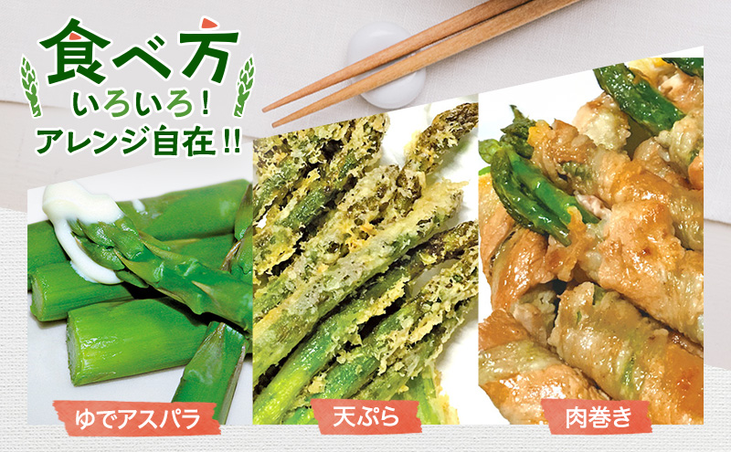 【2026年分先行予約】 アスパラ 専門農家 の 特選 グリーン アスパラ 2kg M アスパラガス 原農園 あすぱら 野菜 北海道 上富良野町 グリーンアスパラ