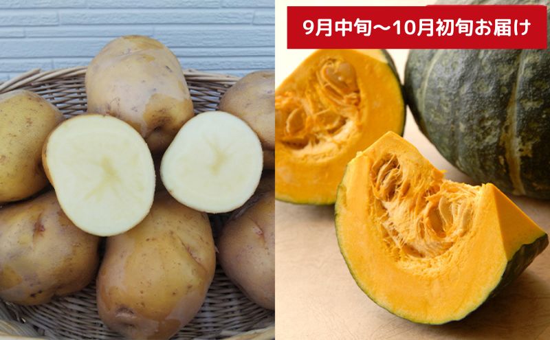 【 2025年 発送 】先行予約 北海道 上富良野【農家スクラム】スペシャル 定期便（4回発送） 上富良野町 メロン とうもろこし トウモロコシ じゃがいも ジャガイモ かぼちゃ カボチャ お米 ゆめぴりか