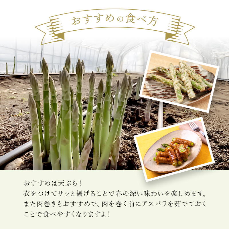 【令和7年産】 先行予約 北海道 上富良野産 アスパラガス Lサイズ 900g アスパラ 上富良野町 令和7年発送 先行受付 野菜 やさい